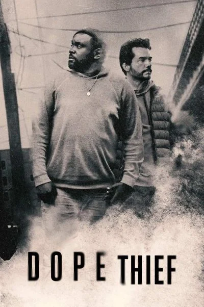 سارق مواد ۲۰۲۵
