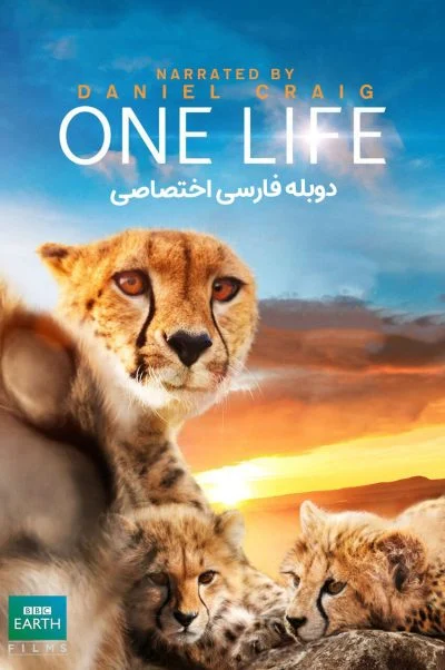 یک زندگی