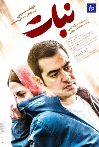 نبات ۲۰۲۳