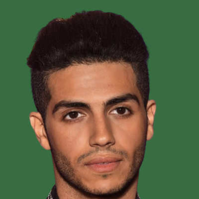 مینا مسعود