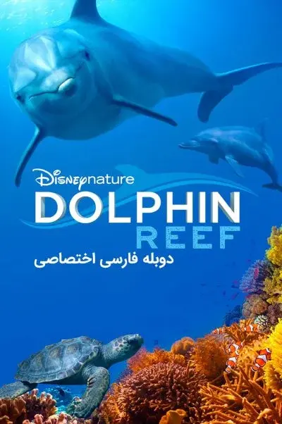 صخره دلفین ۲۰۱۸