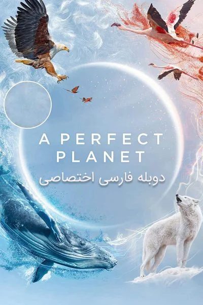 یک سیاره بی نقص ۲۰۲۱