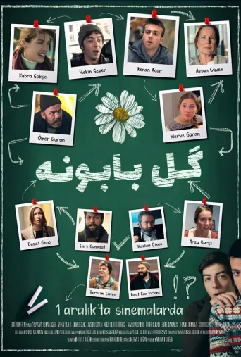 گل بابونه ۲۰۱۸
