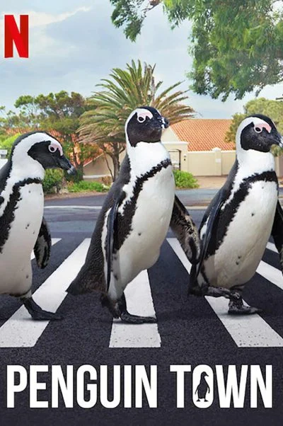 شهر پنگوئن ۲۰۲۱