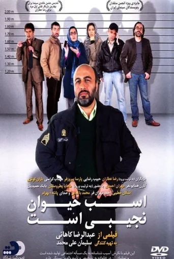 اسب حیوان نجیبی است ۲۰۱۱