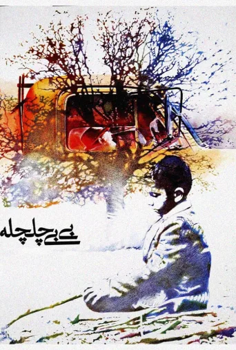 بی بی چلچله ۱۹۸۴