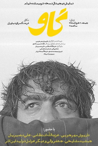 گاو ۱۹۶۹