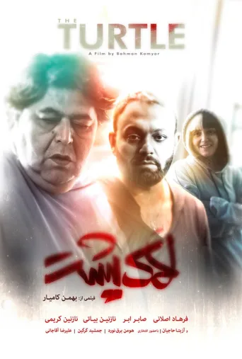 لاک پشت ۲۰۲۵