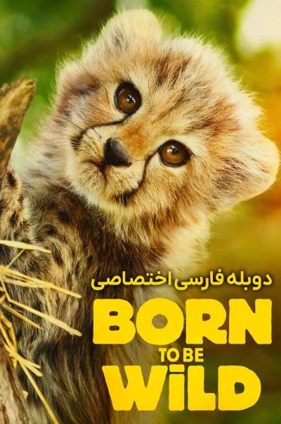 زاده برای وحشی بودن ۲۰۲۴